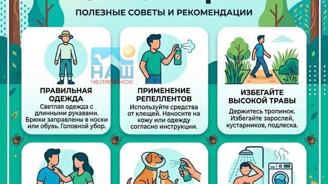 🕷️ Почти каждый пятый клещ заражен боррелиозом в Челябинской области