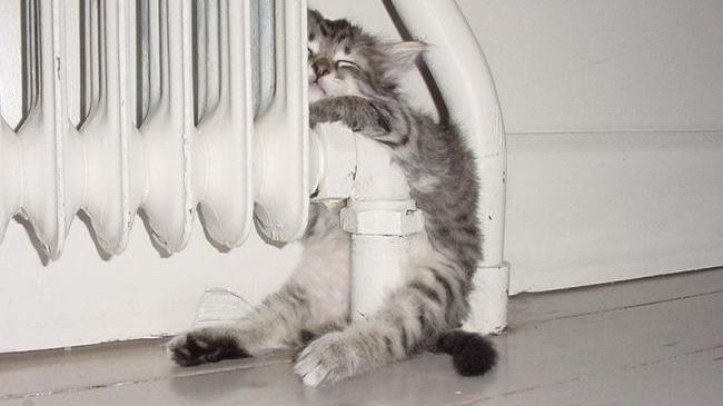 Хочется обычного человеческого отопления 