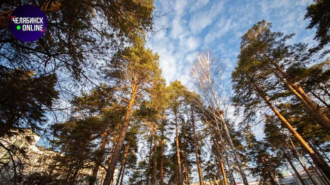 ⚡Суд отменил решение об изменении границ городского бора для строительства больницы