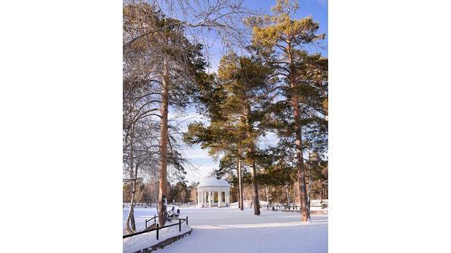 Красивый, зимний и по-настоящему атмосферный парк Гагарина 😎Друзья, а когда вы в последний раз выбирались погулять в парк?