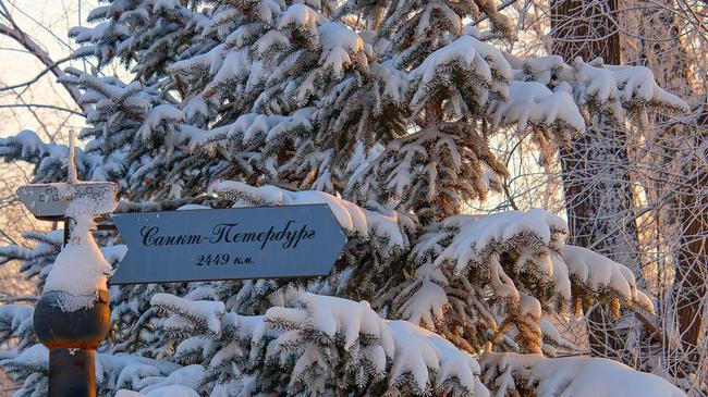 ❄ Указатель на Санкт-Петербург в заснеженном парке Пушкина. А в какой город вы хотели бы съездить в путешествие?