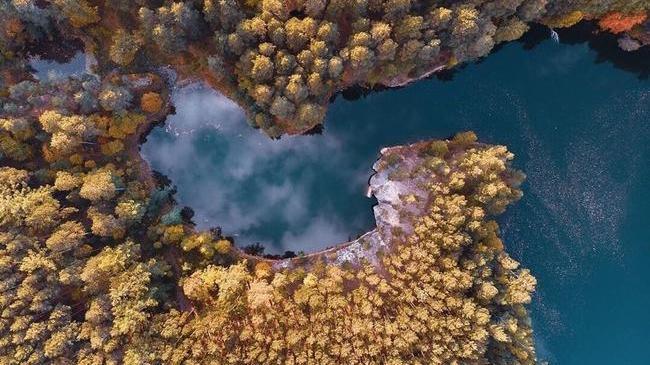 🌳 Карагайский бор с высоты птичьего полёта 🕊 