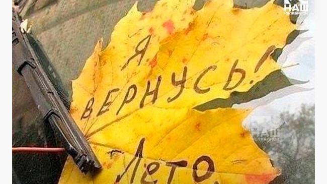 Вот и лето прошло…