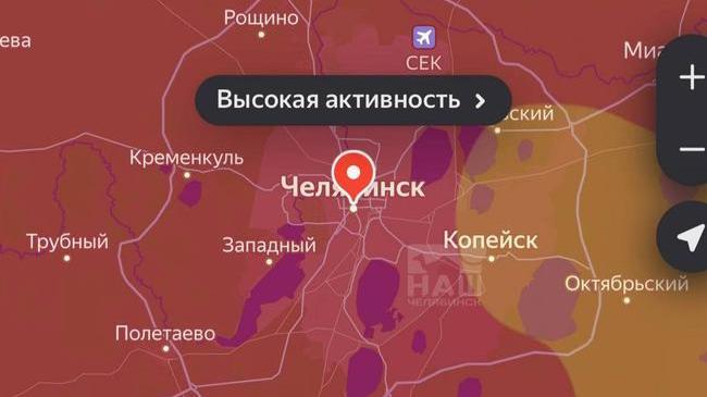 🤧 В Челябинске высокая концентрация пыльцы березы