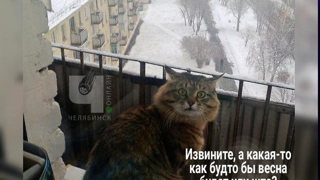 Как вам погодка? 🥶