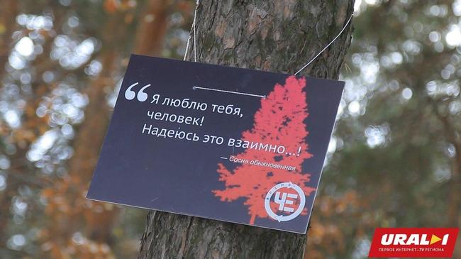 Челябинские экоактивисты пообнимались и поделились теплом с реликтовыми соснами. 
