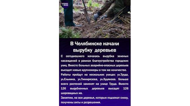 🌳В Челябинске начали вырубку деревьев