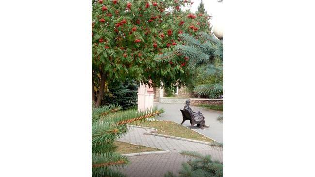 Любимый город...😊