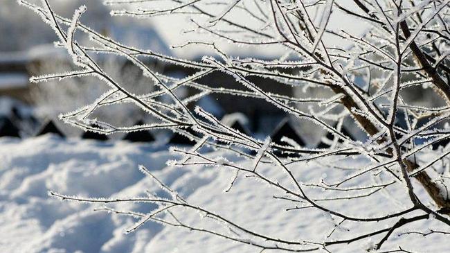 Южный Урал встретит Новый год без снега и с 20-градусными морозами