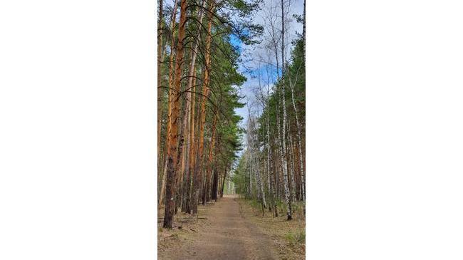 Очень красиво в челябинском бору! ☀💐