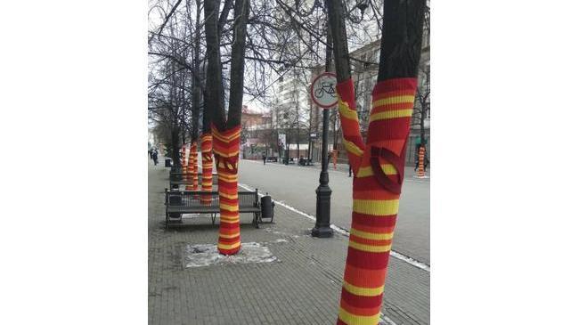 Деревья на Кировке заботливо одели в свитера 😊Красота же!