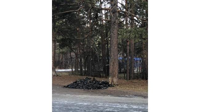 Лучше места не нашли 😏