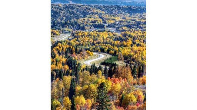 Красивая у нас осень в крае 🍁 