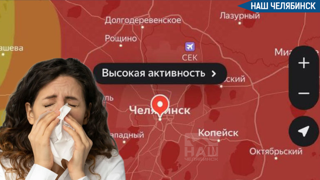 🤧 До конца недели Челябинскую область накроет пыльцевая буря
