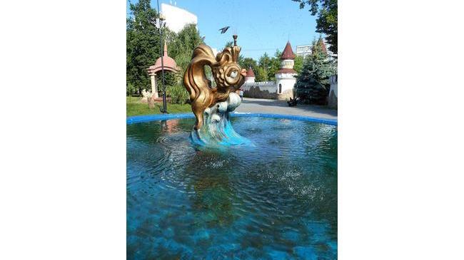 🐠 Прекрасная Золотая рыбка в Городском саду имени А. С. Пушкина 😊 