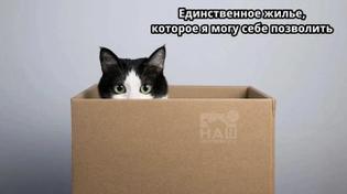😨 Цена жилья с ипотекой в Челябинске достигла 900 тысяч рублей за квадратный метр  