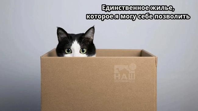 😨 Цена жилья с ипотекой в Челябинске достигла 900 тысяч рублей за квадратный метр  