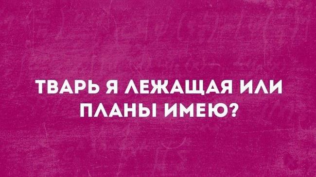 Тварь я лежащая или планы имею? 😄