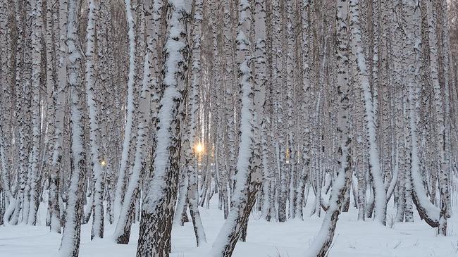 ❄ Зимний парк "Северо-Западный". Расскажите, что поднимает вам настроение зимой?