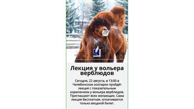 Бесплатная лекция в Челябинском зоопарке 