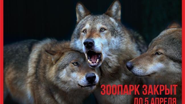 ‼ Челябинский зоопарк закрыт для посещения с 28 марта по 5 апреля включительно