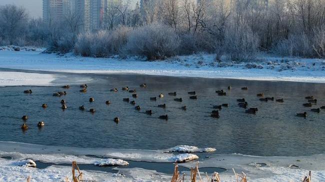С добрым утром, Челябинск! 👋🏻 С началом новой рабочей недели! ☕ Желаем всем отличного понедельника и прекрасного настроения! 😎 