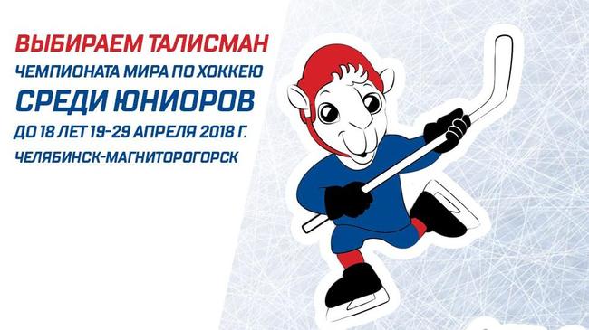 Жителей региона просят проголосовать за символ Чемпионата мира по хоккею среди юниоров