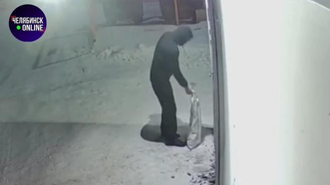 😿 В Челябинске ветеринарам подбросили кота в мешке