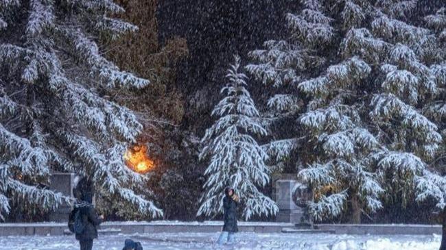 ❄️ Челябинск засыпало снегом на 5-8 см за новогоднюю ночь