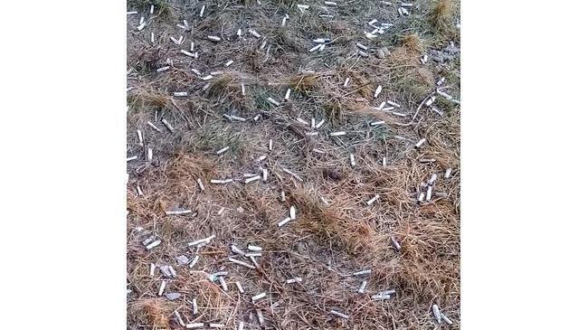 Вот хочется просто выйти и закричать под окнами: люди, что Вы делаете? 