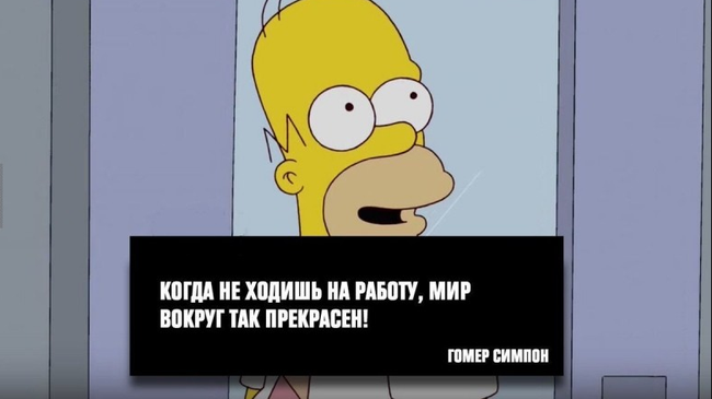 Цитаты великих 😄