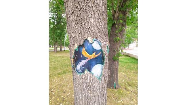 Удивительное рядом! 😃В Челябинске на деревьях можно встретить вот такие рисунки!