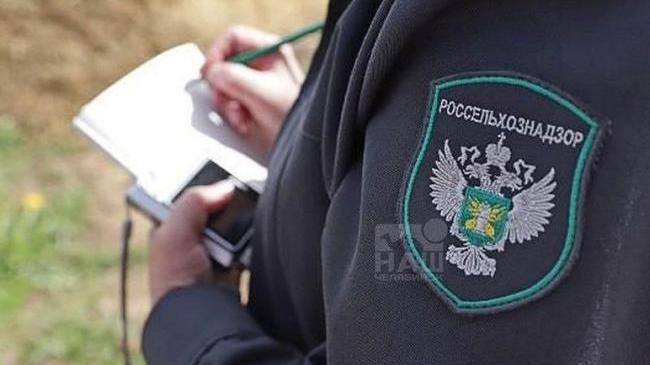 🚨 Задержали начальника отдела Россельхознадзора