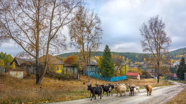 🍂 Деревенская безмятежность на Южном Урале. Расскажите, куда вам удалось съездить в этом году?