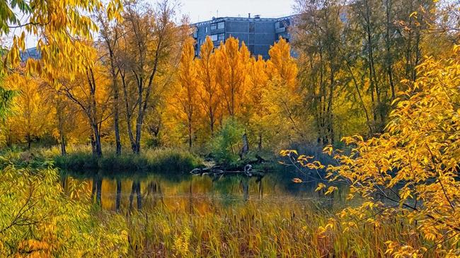 🍂 Золотой сентябрь. Где посоветуете погулять в Челябинске осенью?