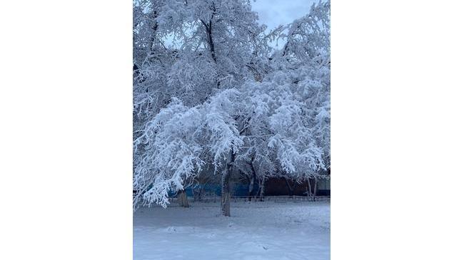❄❄❄ Небольшая подборка фотографий первого снега в Челябинске.