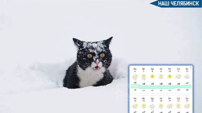 ❄️ Первый снег пойдет в Челябинске в начале октября