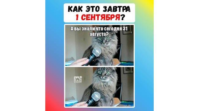 😅 Готовы к началу учебного года?