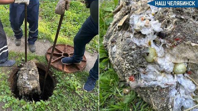 😨 Челябинцы забивают канализацию отходами от заготовок