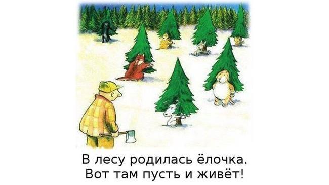 🎄 Традиционная предновогодняя открытка. ❓ А какую елочку вы будете дома ставить в этом году?