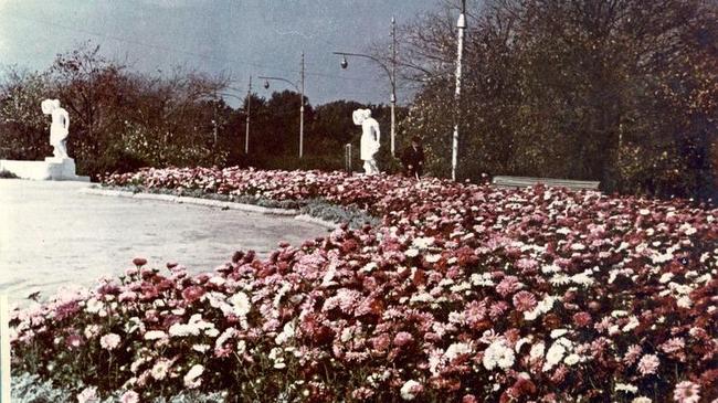 А вы знали, что Алое поле существует в Челябинске с 80-х годов XIX века? В эти годы на этом месте проходила ярмарка. 