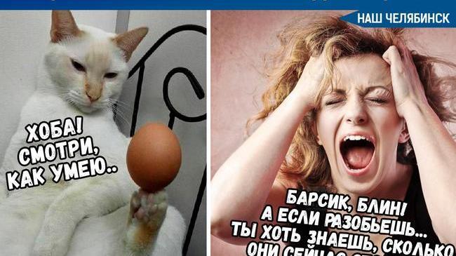 🥚❌Жители российских регионов в скором времени могут испытать нехватку яиц 