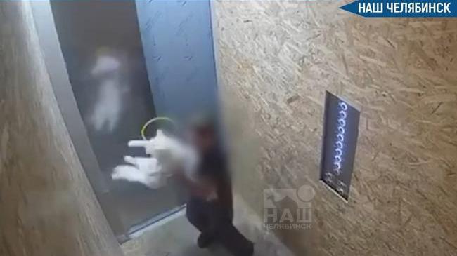 🚔 Полиция нашла подростка, который мучил кошку