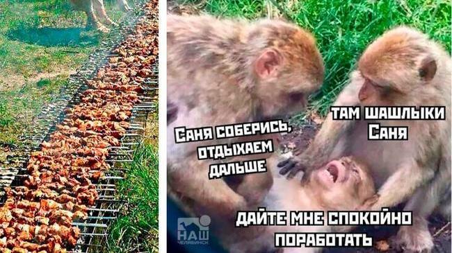 🌸 Предложили майские праздники длиннее