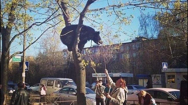 Когда сразу же узнаешь страну по фото! 😎