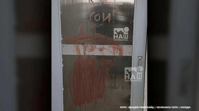 👩‍⚖ ️️В Челябинске 14-летнюю живодёрку отправят на принудительное лечение