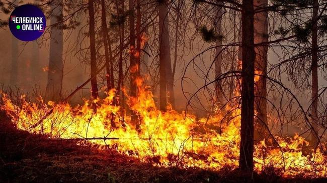 🔥 В Ильменском заповеднике бушуют пожары