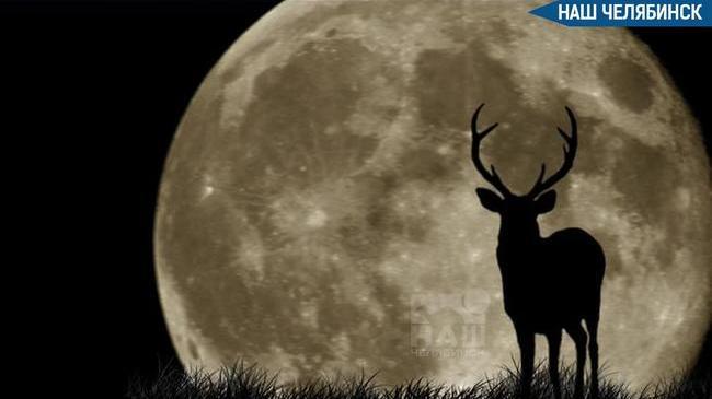 🌕 Челябинцы смогут наблюдать «Оленью Луну»