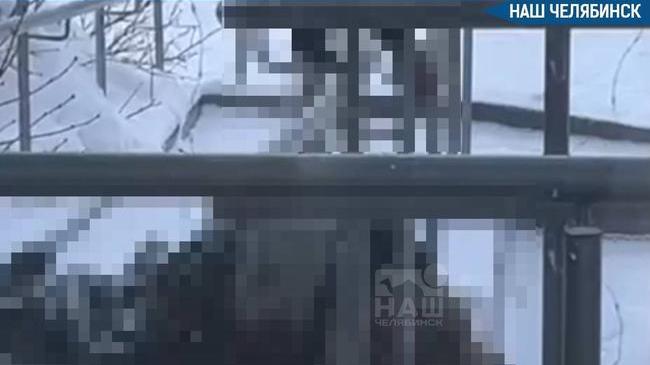 😱 11-летняя школьница погибла в Парковом