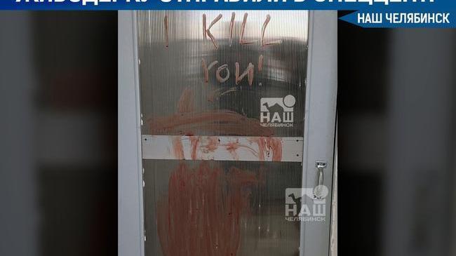 🧱 Девочку, которую подозревают в серии убийств животных, поместили в центр временного содержания